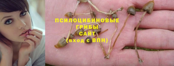 твердый Бронницы