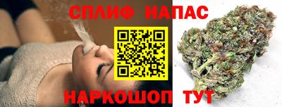 сатива Апшеронск