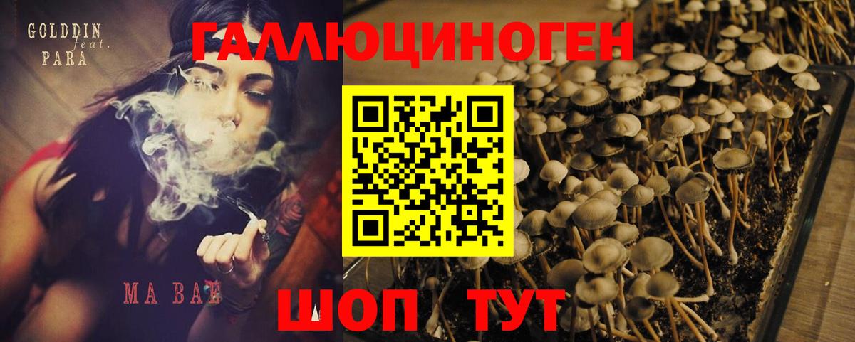 наркотики  Орск  Галлюциногенные грибы ЛСД 